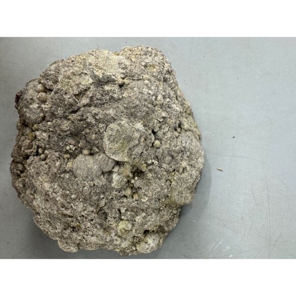 Natural Geode rock With Polished Crystal Interior 5x4.5x3" gray READ - Picture 5 of 8